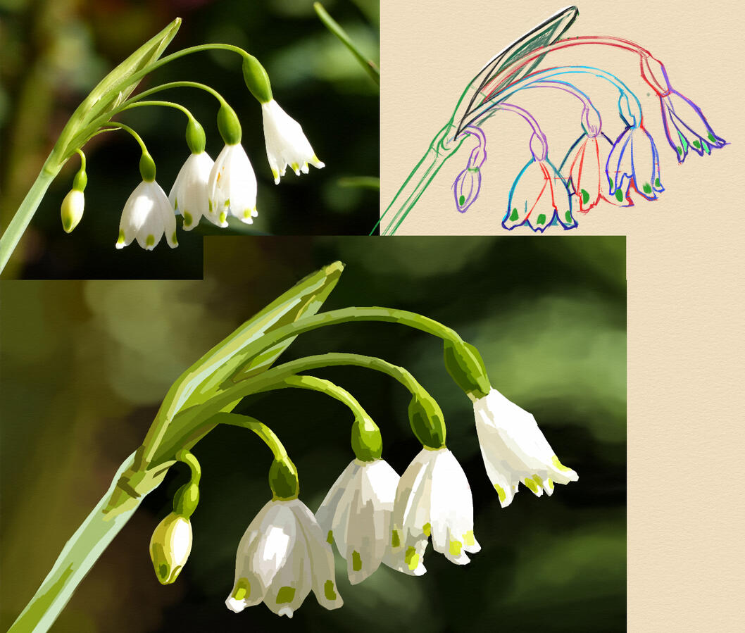Flower Study