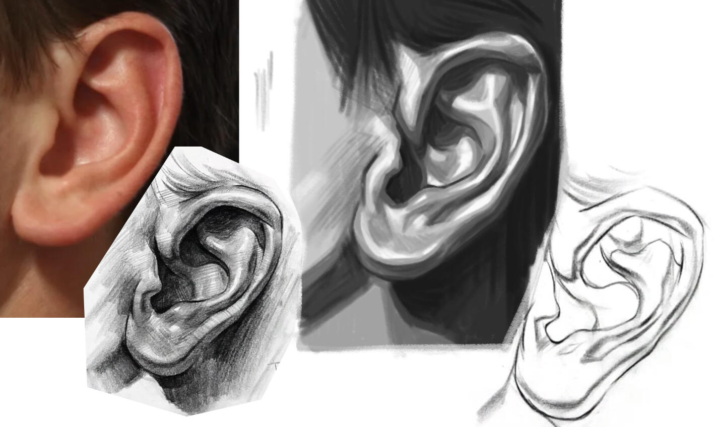 Ear Study