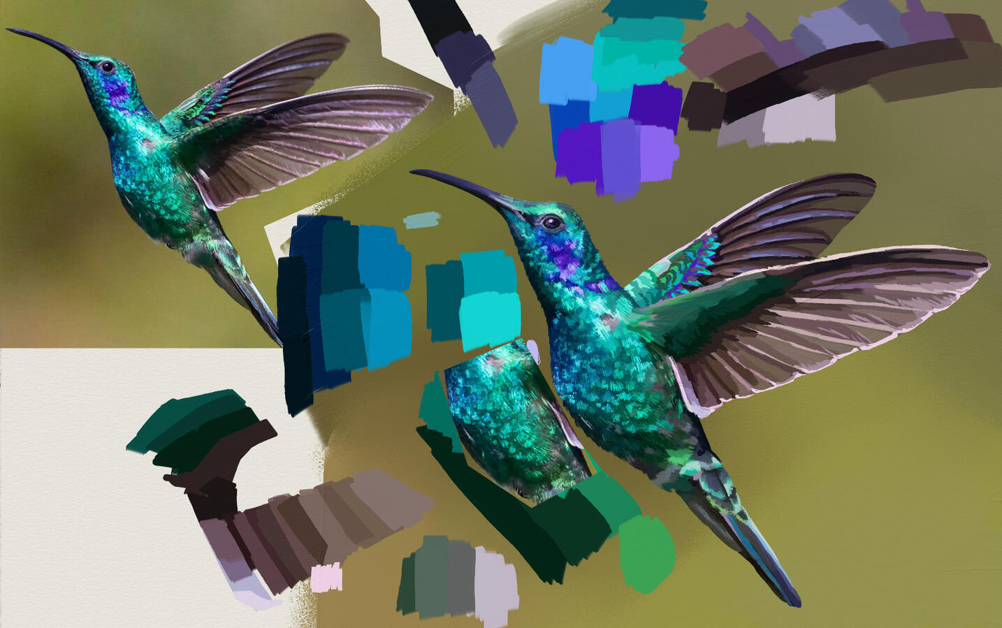 Hummingbird Study